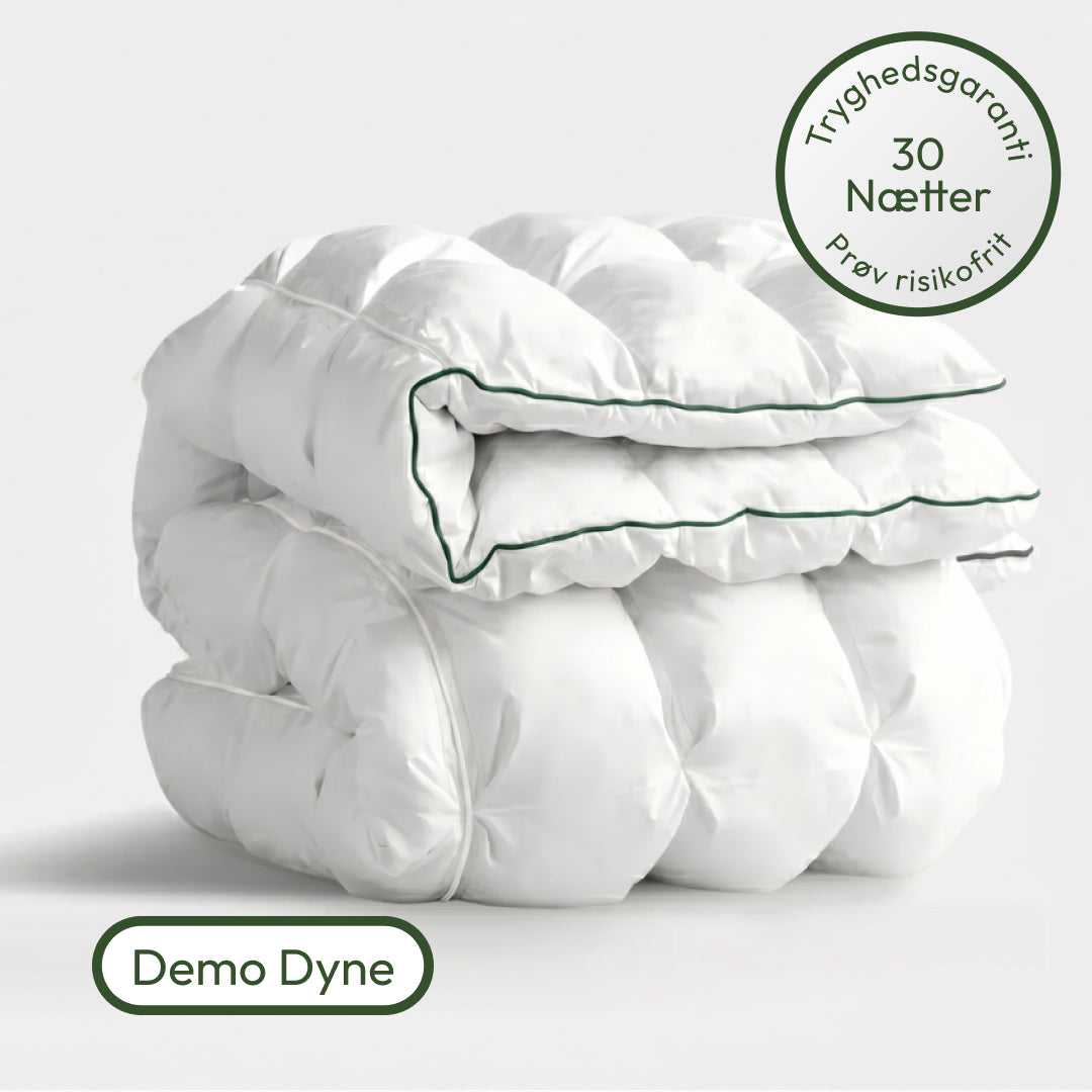 Den Fyldige Hybriddyne - Demo