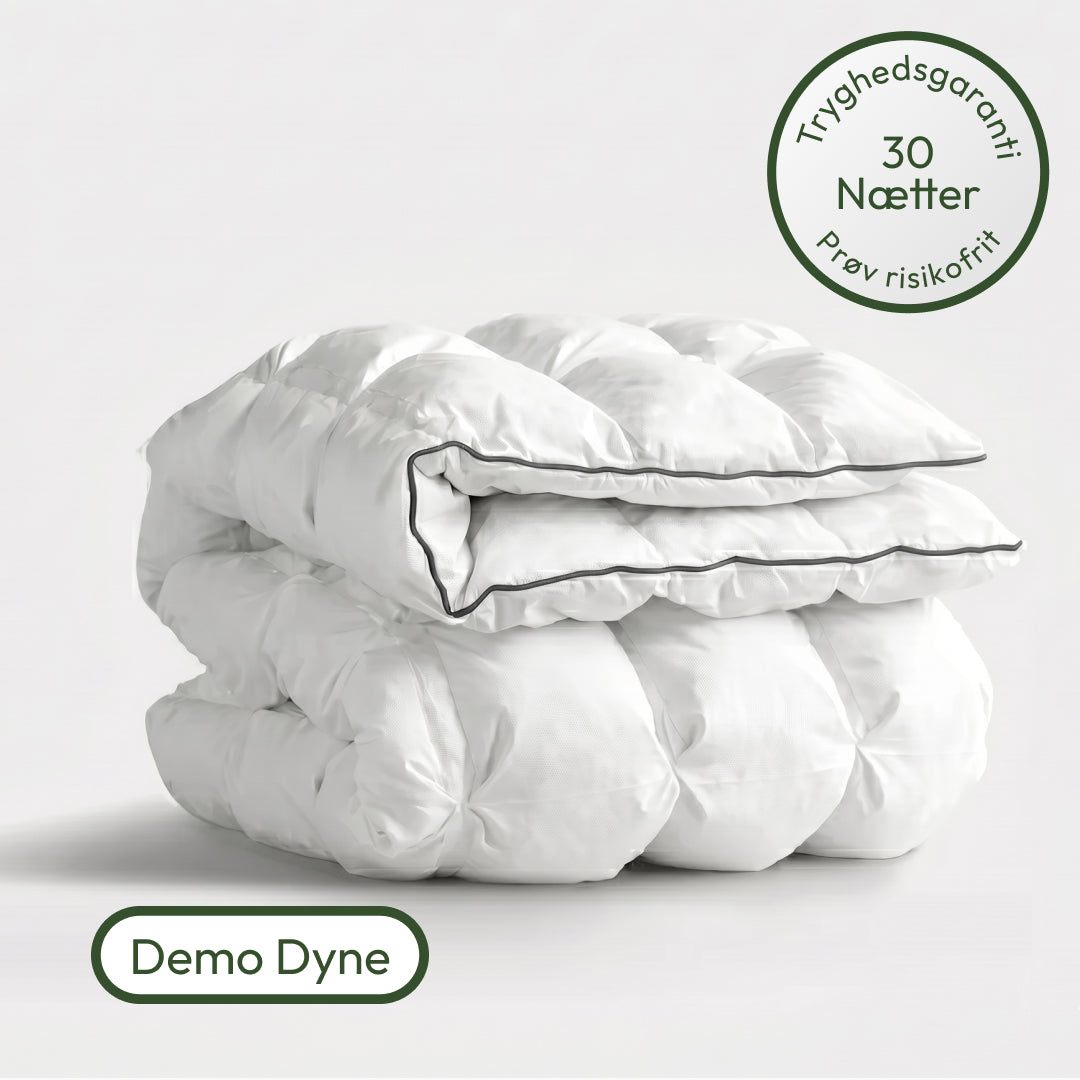 Den Regulære Hybriddyne Demo