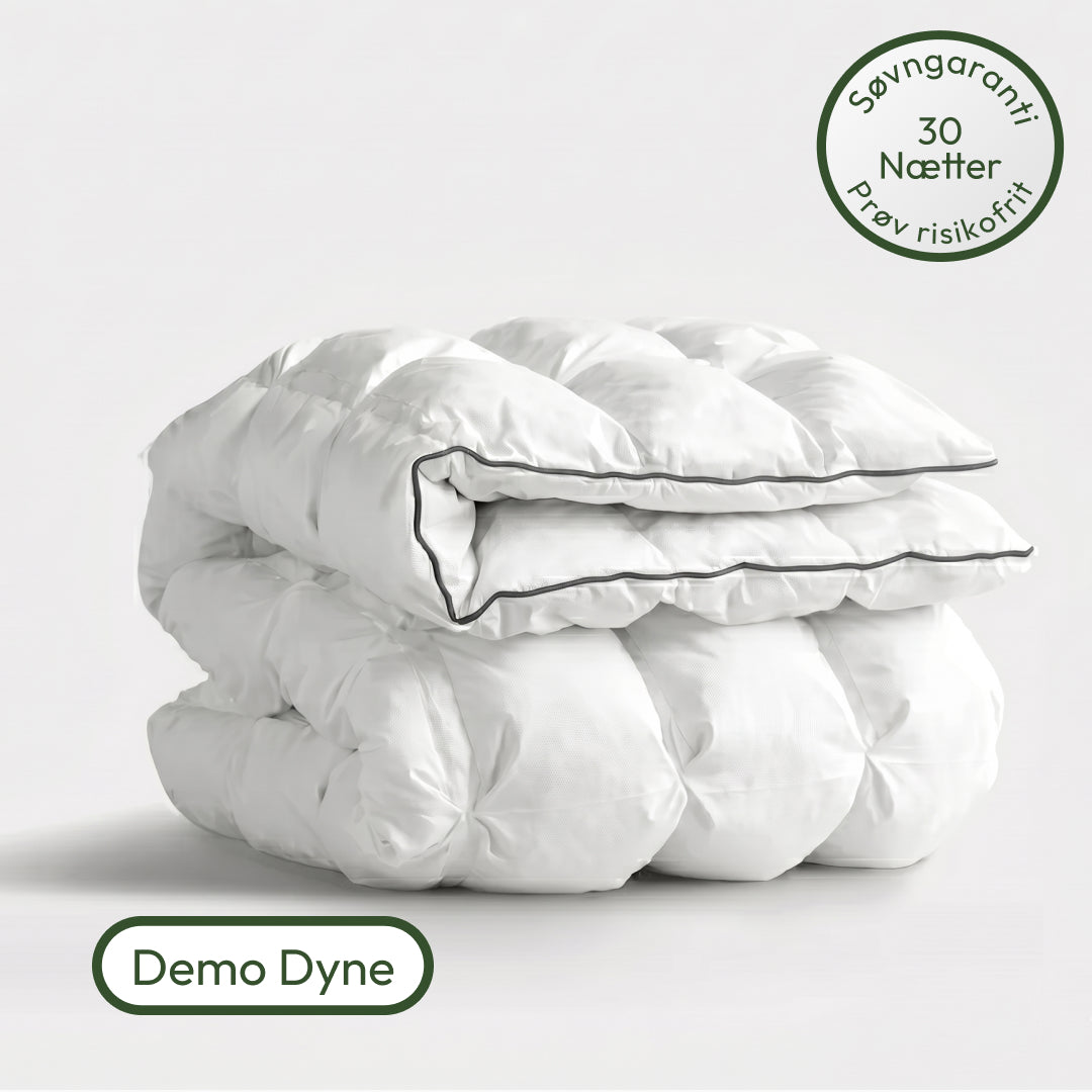 Den Regulære Hybriddyne Demo