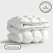 Den Regulære Hybriddyne Demo