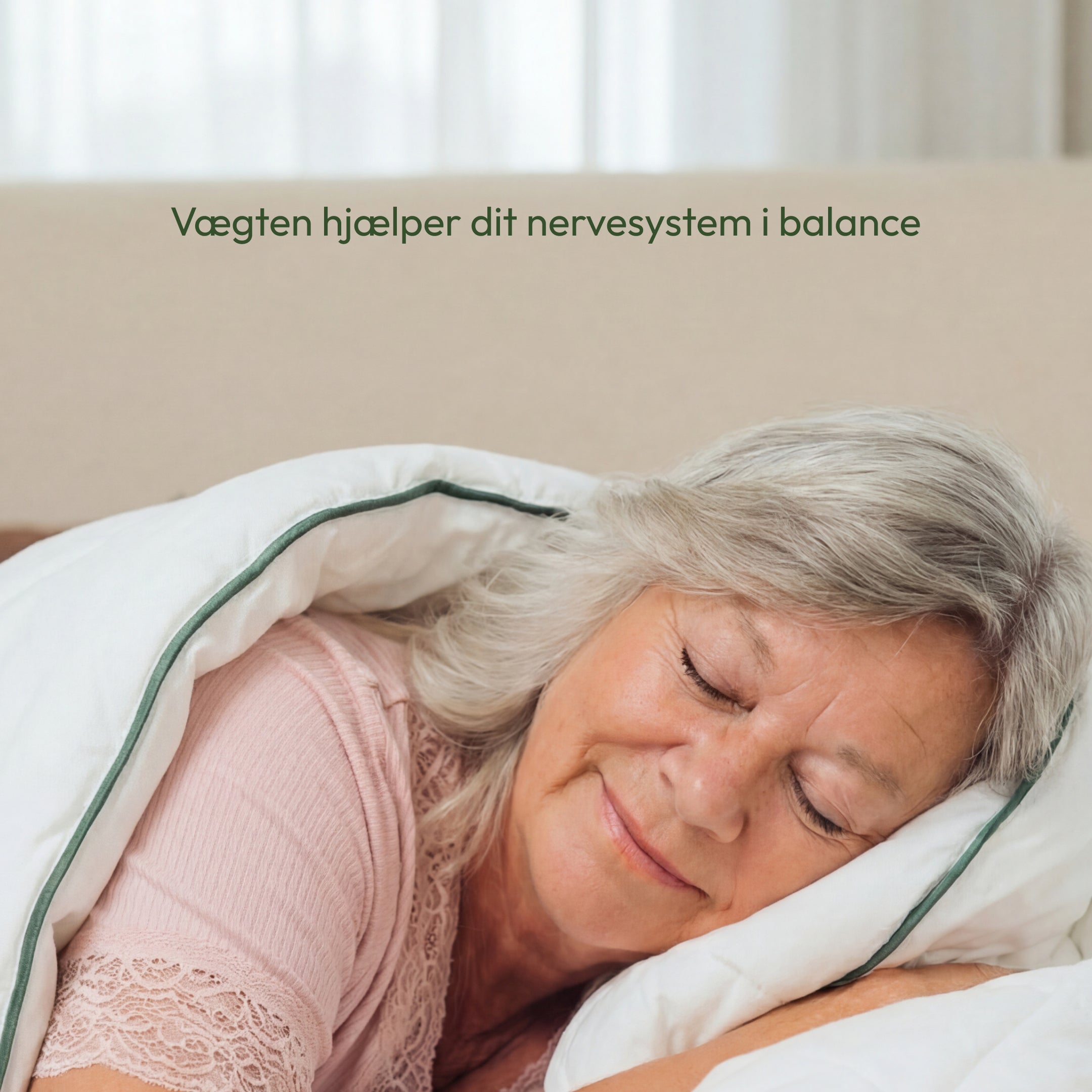 Den Regulære Hybriddyne