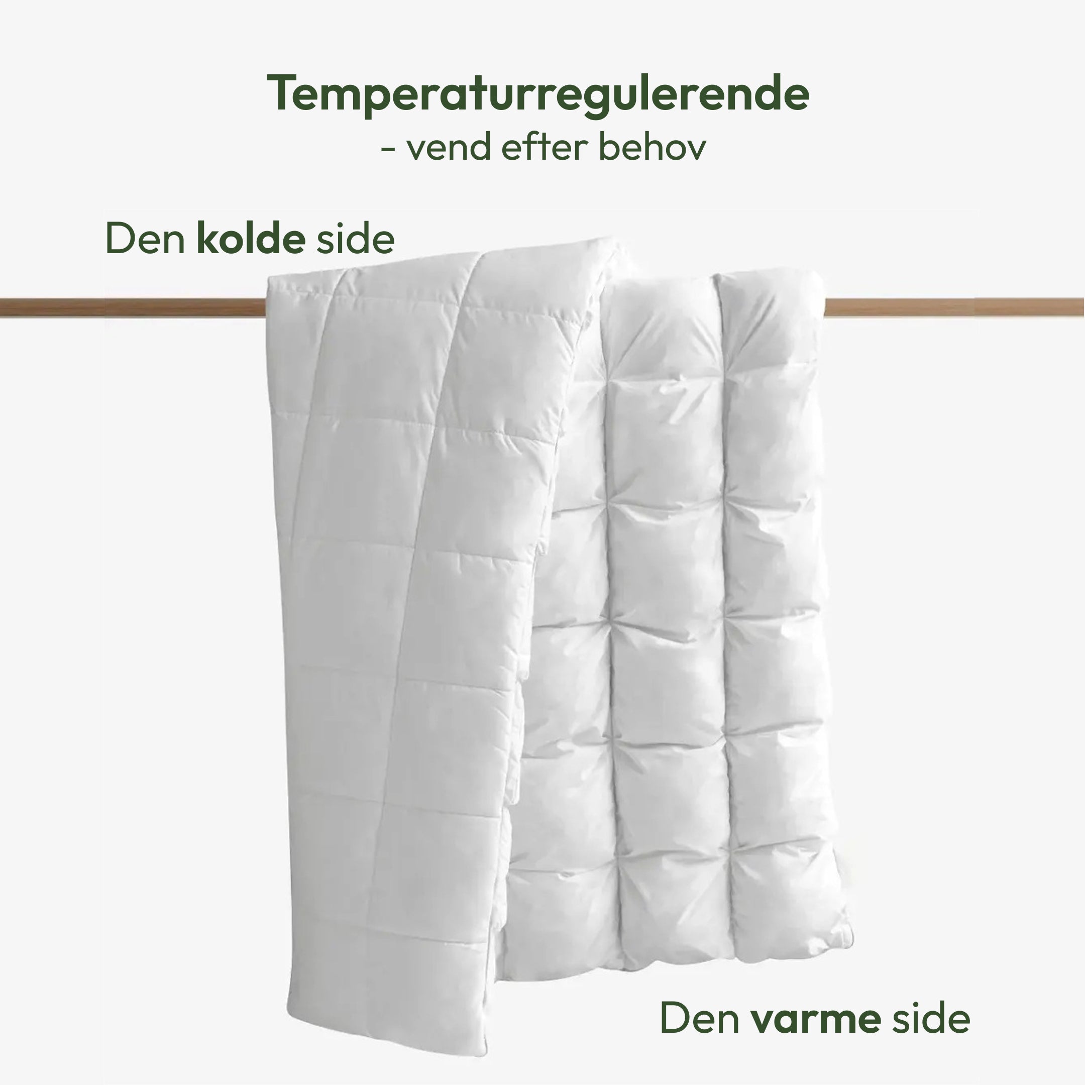 Den Regulære Hybriddyne Demo